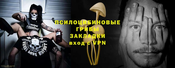 трава Аркадак