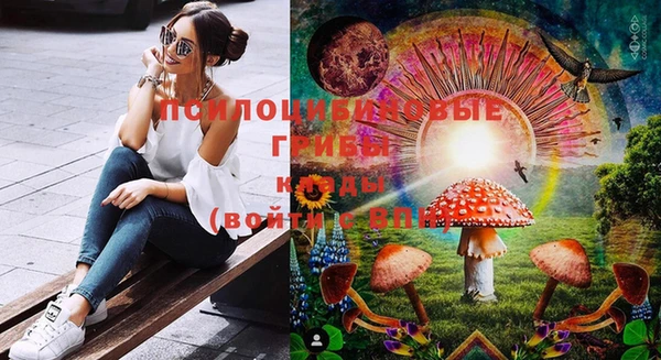 не бодяженный Арсеньев