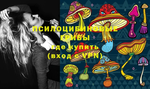 мяу мяу мука Армянск