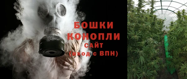 трава Аркадак